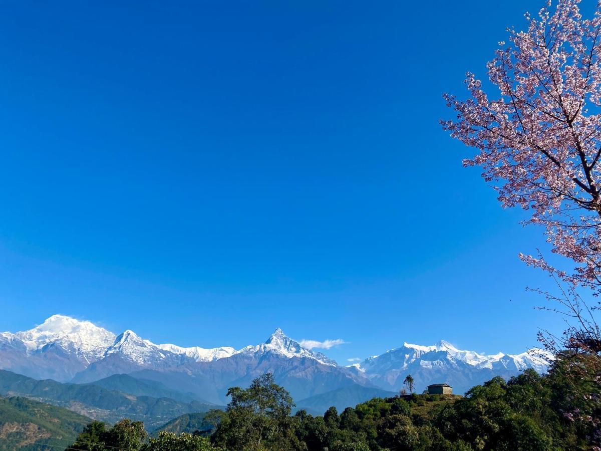 Superview Lodge, Himalayan Sunrise In Sarangkot Lodge